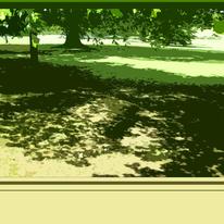Parkland