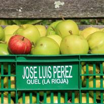 One red apple