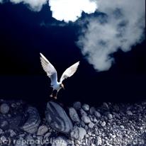 Out of the Blue