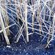 Frozen bulrushes