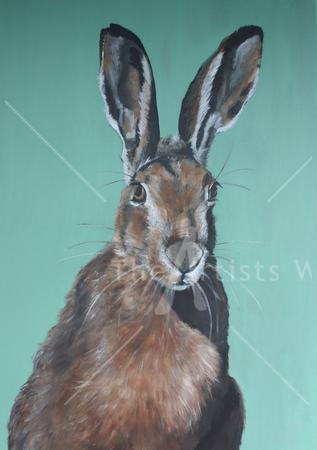 Hare