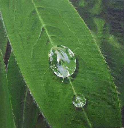 Raindrop on leaf