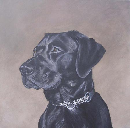 Murphy