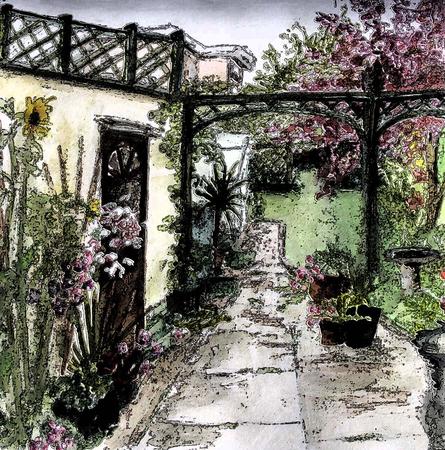Garden view