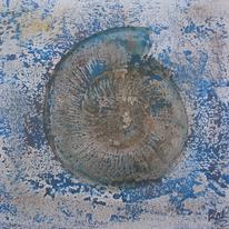 Ammonite Series