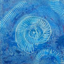 Ammonite Series