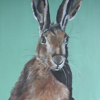hidden Hare