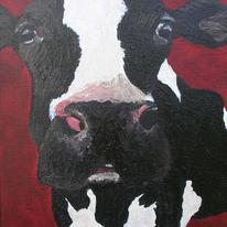 Cheeky Moo