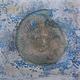 Ammonite Series