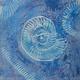 Ammonite Series