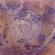 Ammonite Series