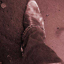 First Foot Forward