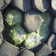 Giants Causeway