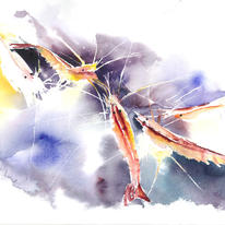 Shrimps