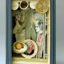 Development of the human Heart