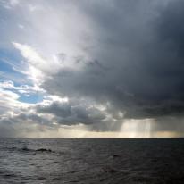 SEASCAPE Paul Grant