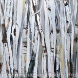 birchland - oil on canvas