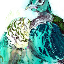 Peacock
