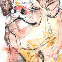 hidden Middle white  pig