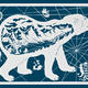 Arctic Voyage