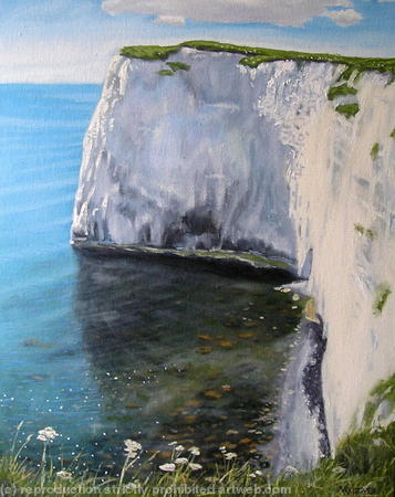 Chalk Cliff, Old Harrys Rock