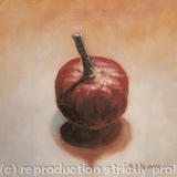 Squash - Oil on Canvas