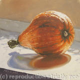 Red Kuri Squash - Oil on Canvas