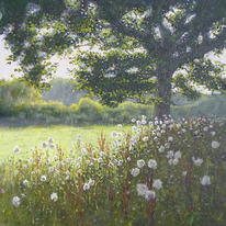 Oak And Thisle Tops