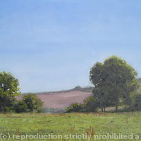 Rosenun Field Summer