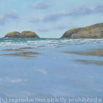 Cerrig Gwylan Pembrokeshire