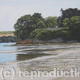 Redend Point, Dorset | | 46 x 36cm | Oil on Canvas Redend Point, Dorset