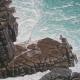 Below Treen Cliff