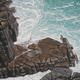 Below Treen Cliff(46x36cm)