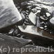 Rock Study, Kimmeridge,…