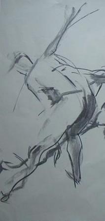 30sec_pose