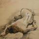 Lin | | 55 x 38cm | Charcoal, pastel on paper Lin