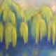 Willows