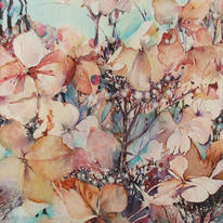 late-hydrangea