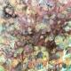 Soft Hydrangea | £85 | | acrylic on canvas Soft Hydrangea
