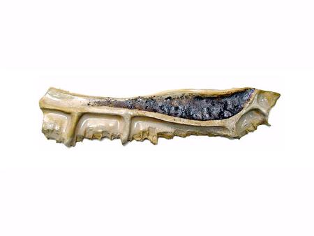 Lava