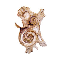 double spiral