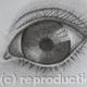 Left Eye