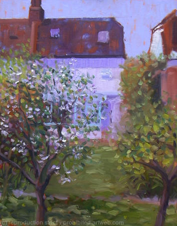 apple and pear blossom