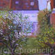 apple and pear blossom