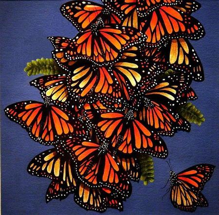 Arizona Monarchs **SOLD**