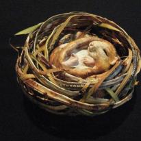 Dormouse in nest *SOLD*