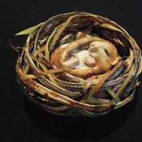 *SOLD* Dormouse in nest