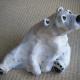 'Polar Care' *SOLD*