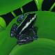 Green stripe Frog *SOLD*