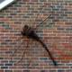 Willow Dragonfly **SOLD**